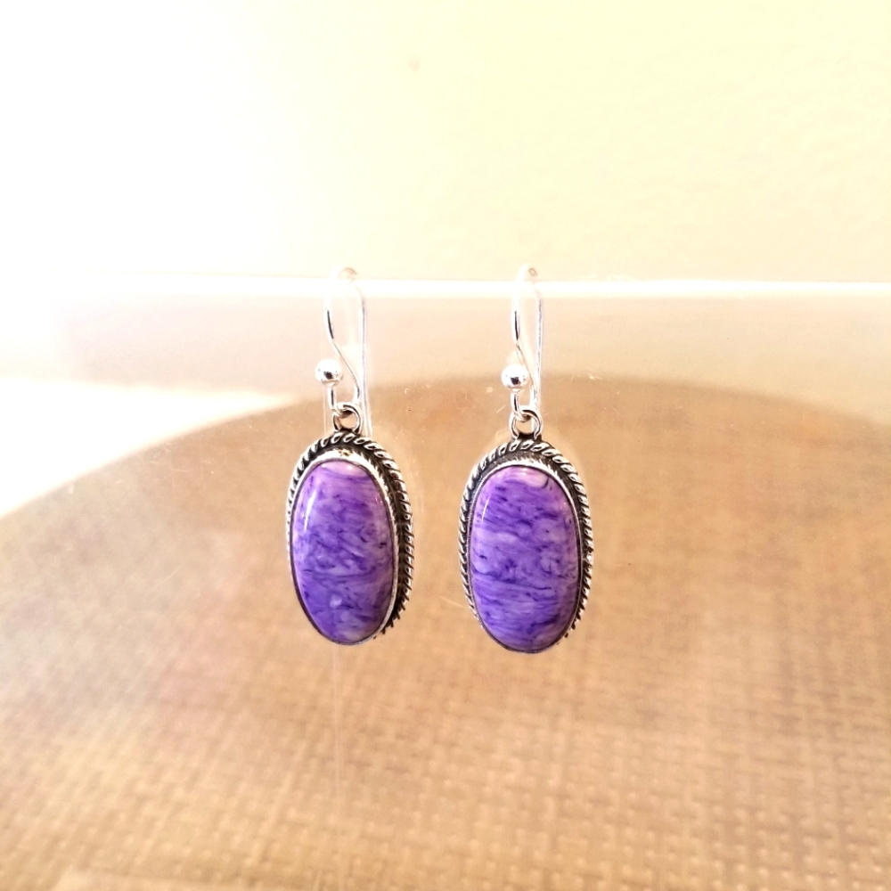 Attractive Earrings Nwot